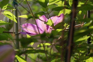 a0091666_19154197.jpg