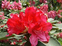 b0004675_1330781.jpg