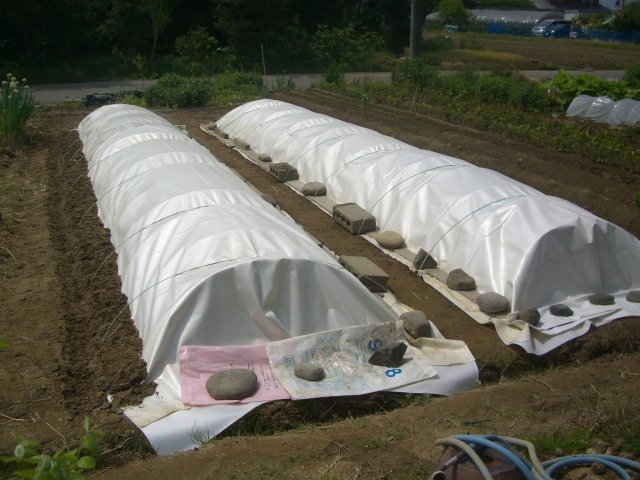 f0137275_5221431.jpg