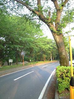 f0031777_22133153.jpg