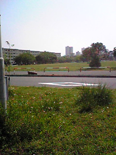 a0079878_193442.jpg