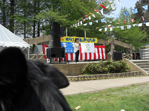 c0052779_2315758.jpg