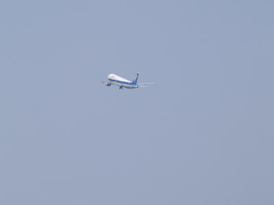 c0145183_353186.jpg