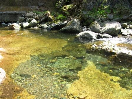 b0092694_20382586.jpg