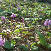b0099994_23103749.jpg