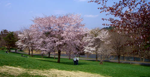 b0099994_231339.jpg
