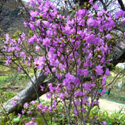 b0099994_2335885.jpg