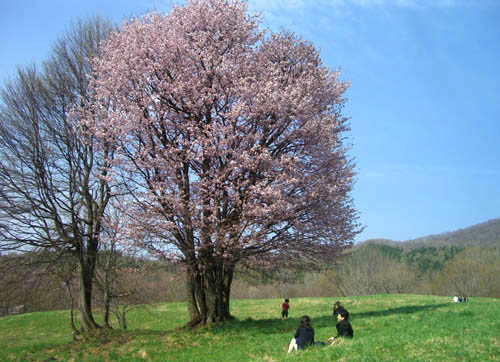 b0099994_923748.jpg