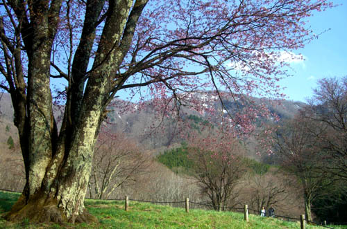 b0099994_932471.jpg