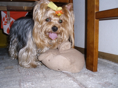 f0130894_1645243.jpg