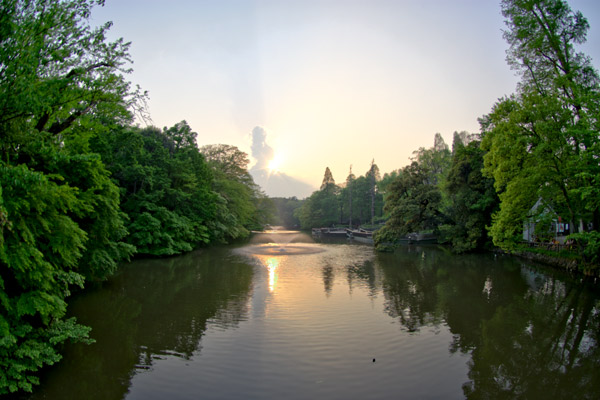 a0049195_04306.jpg