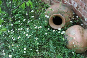 c0092895_13151468.jpg