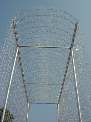 f0155795_1156813.jpg
