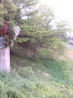 b0061596_8413620.jpg