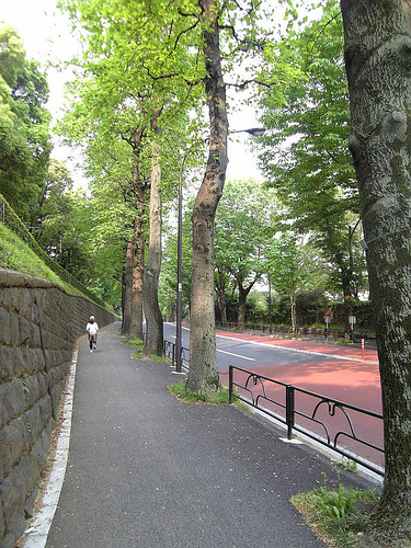 a0023500_21291923.jpg