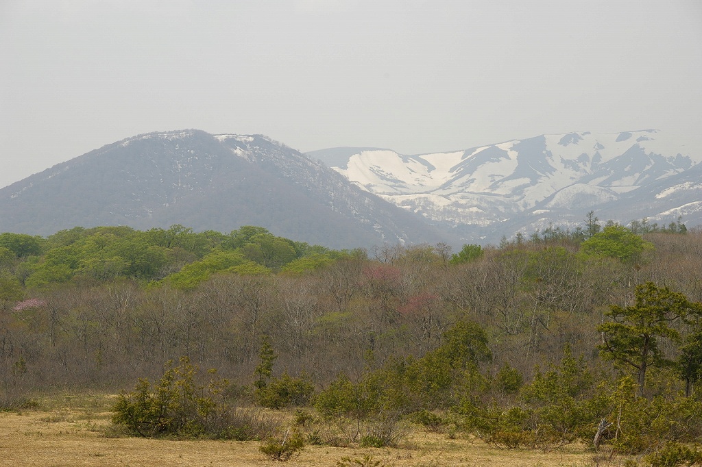 b0050305_20131693.jpg