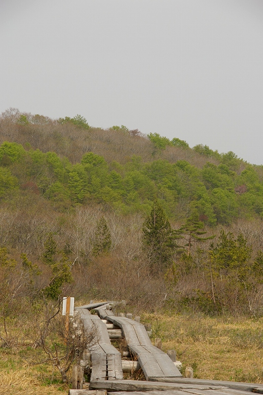 b0050305_20135134.jpg