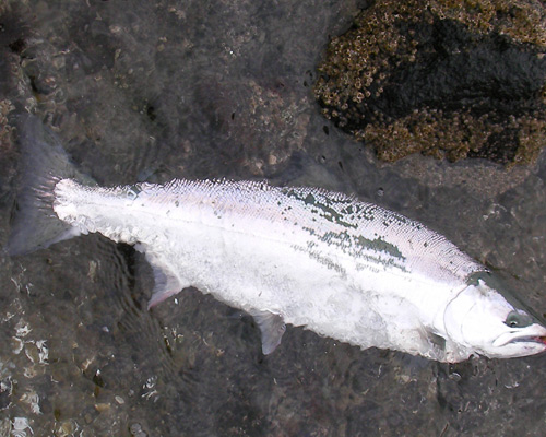 b0110205_2243038.jpg