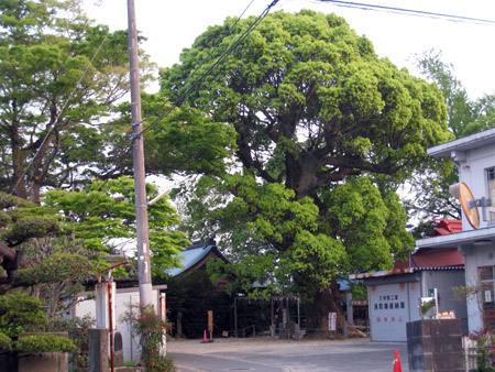 a0097006_2245314.jpg