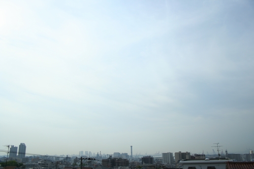 d0131006_216840.jpg