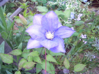 c0056707_1817852.jpg