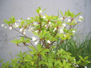 c0056707_18263870.jpg