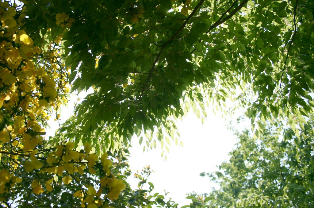 a0043408_2031669.jpg