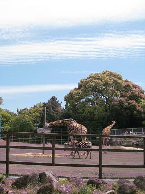 c0138908_10332931.jpg