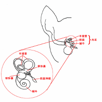 f0127408_23152558.gif