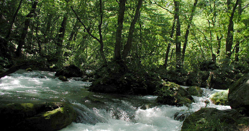 c0011009_5443110.jpg
