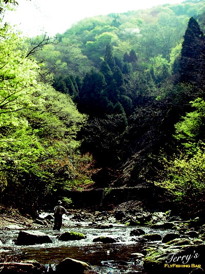 e0009009_2393960.jpg