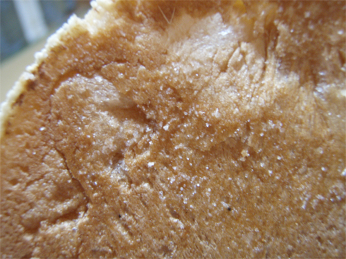 c0118210_16464717.jpg