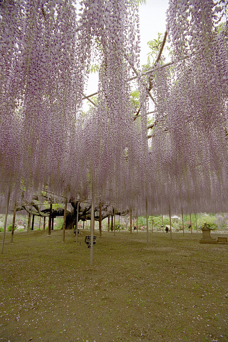 c0028713_2352480.jpg