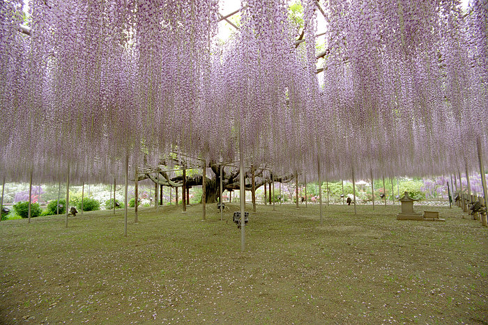 c0028713_235924.jpg