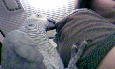 c0133013_11272027.jpg