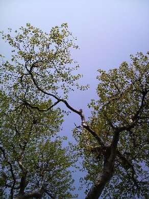 f0154218_0212486.jpg