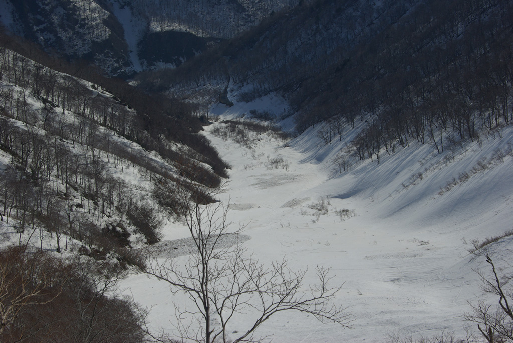 b0062024_13716100.jpg