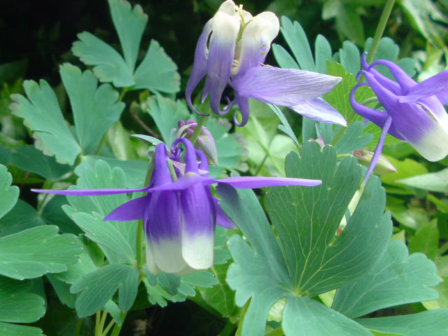e0016828_031181.jpg