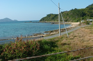 a0092129_7582054.jpg