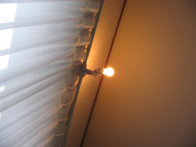 e0129831_8341179.jpg