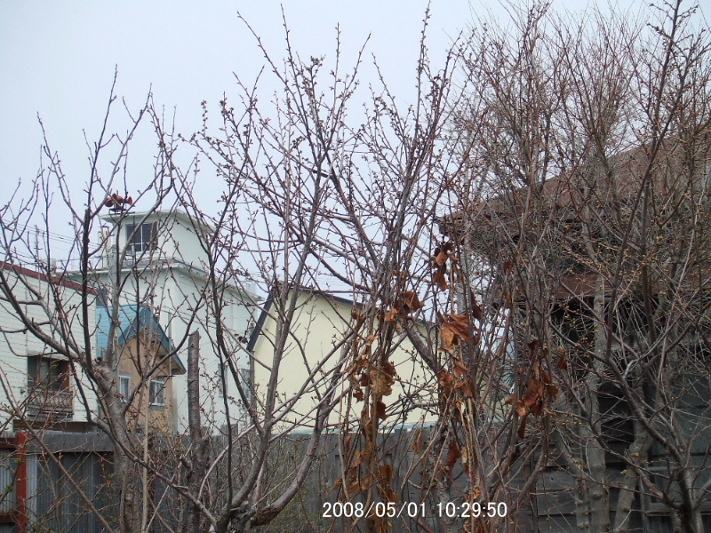 b0012636_14282762.jpg