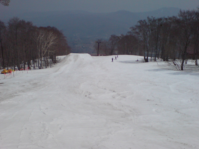 c0054838_837231.jpg