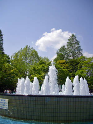 f0032340_211477.jpg