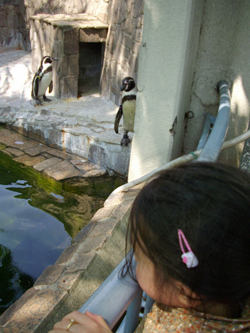 f0032340_2123120.jpg