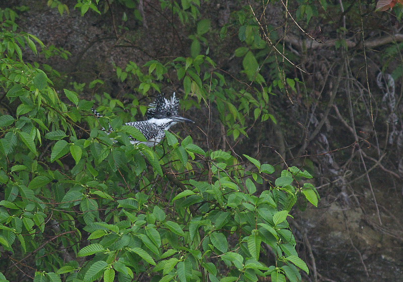 b0109942_794588.jpg