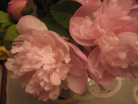 e0018143_4431612.jpg