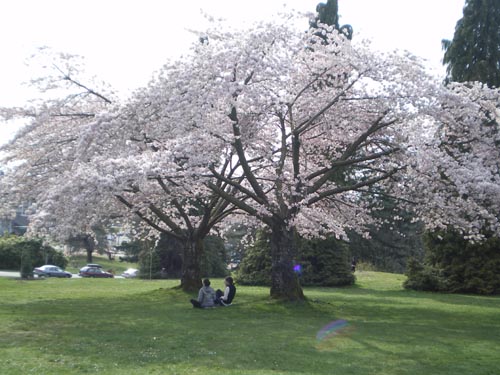 e0016845_1415471.jpg