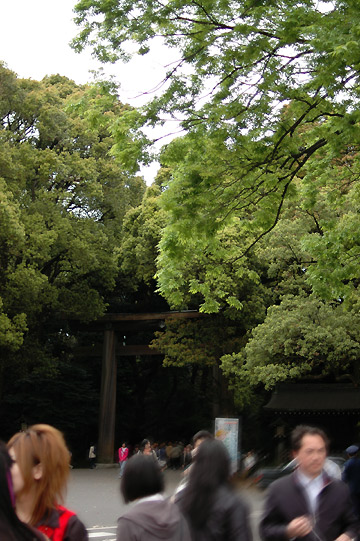 d0008146_23281781.jpg