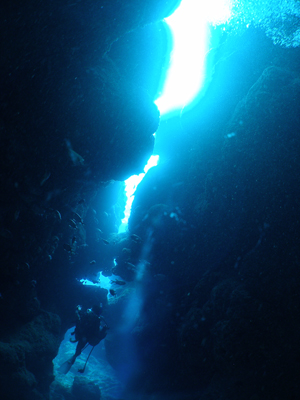 d0065247_2243595.jpg