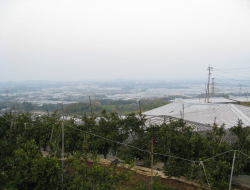 c0148548_052112.jpg